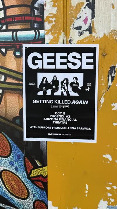 Geese Live Show