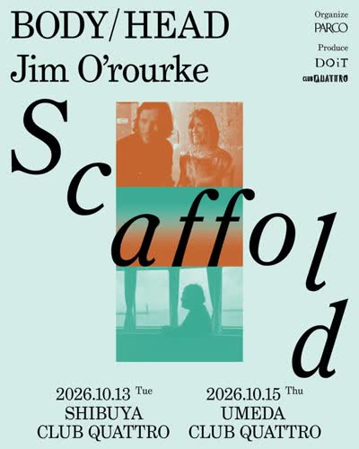 Scaffold #3