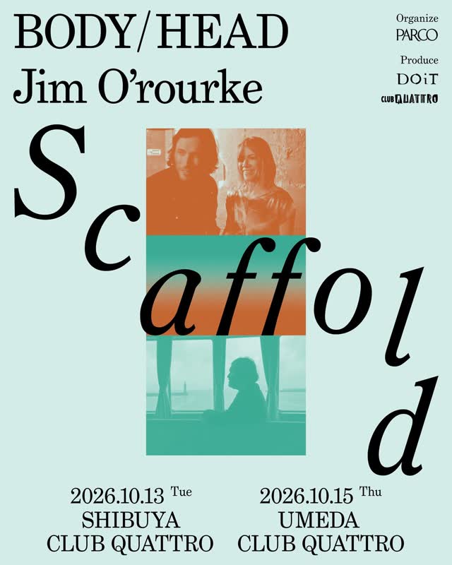Scaffold #3