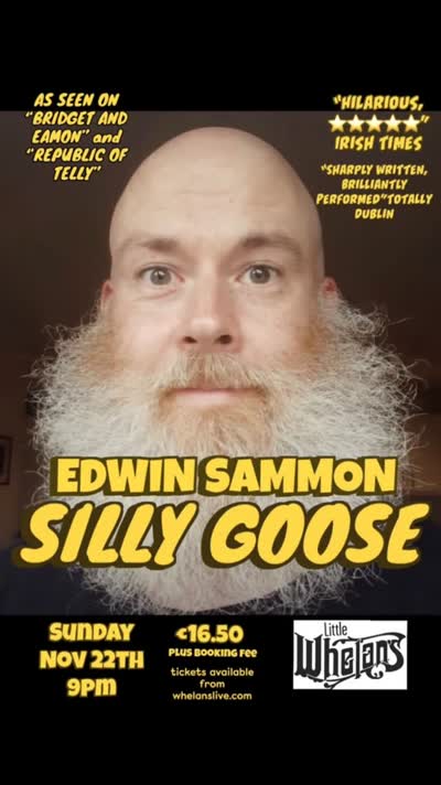Edwin Sammon Silly Goose