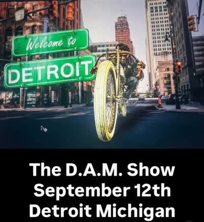 The D.A.M. Show