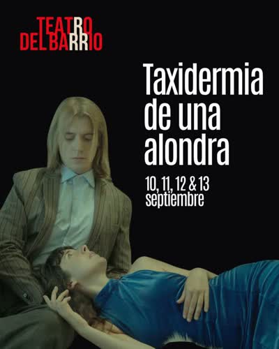 Taxidermia de una alondra
