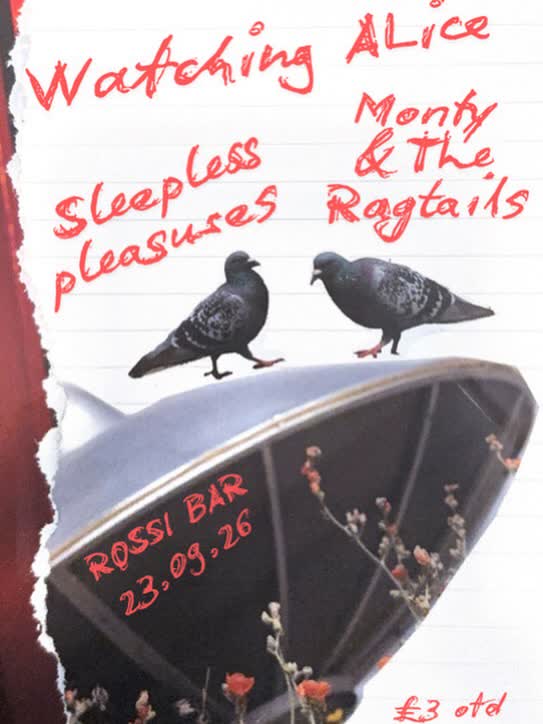 NEW SHOW! Watching Alice with support from Sleepless Pleasures + Monty and The Ragtails