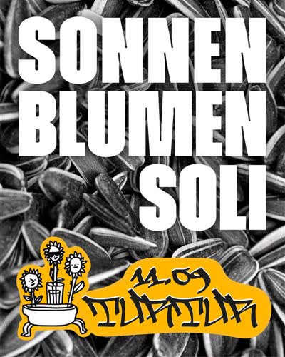 Sonnenblumen Soli Vol. 6