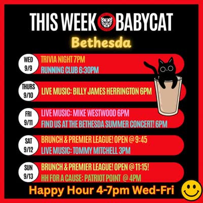 This Week Babycat Bethesda