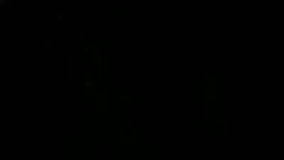 Les Fééries Fantastiques - Danses et Chansons des Contrées Imaginaires (Edition 2026)