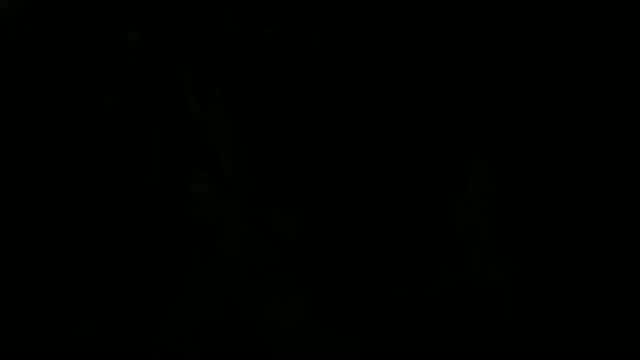 Les Fééries Fantastiques - Danses et Chansons des Contrées Imaginaires (Edition 2026)