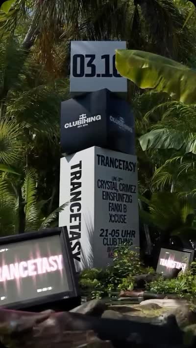 TRANCETASY No2