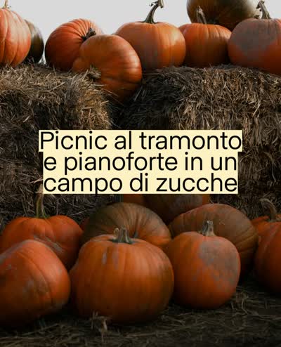 Pianoforte nell'oasi naturale - Live con Mario Raimo