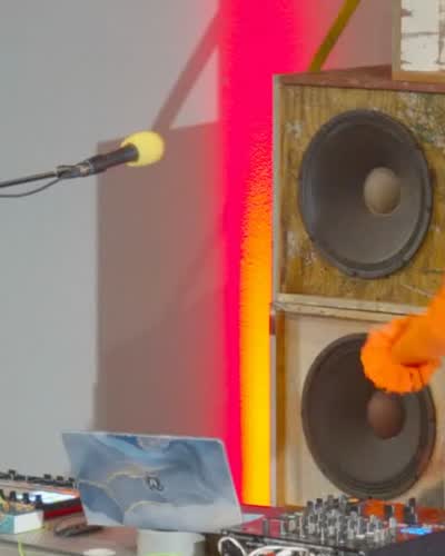 PAMMSonic with Suzi Analogue
