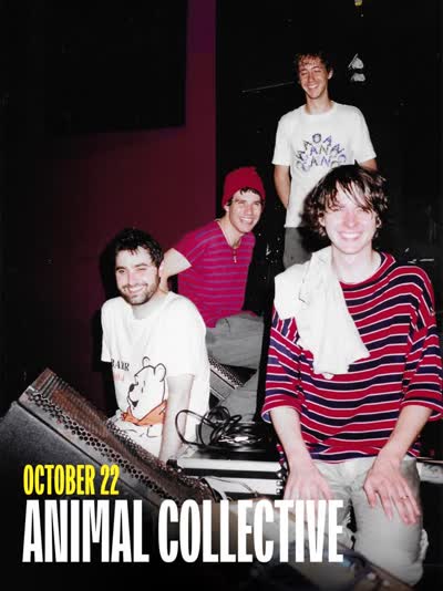 Animal Collective plays “Feels” live