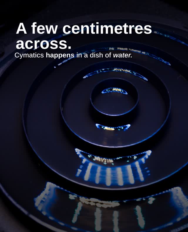 Cymatics Live Experience