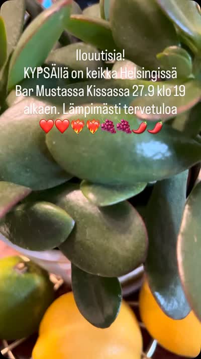 KYPSÄllä keikka Helsingissä Bar Mustassa Kissassa