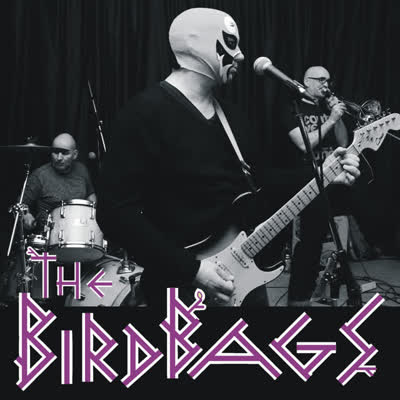 THE BIRDBAGS | Garage-Rock, Surf-Punk und Kraut-Beat aus Süddeutschland