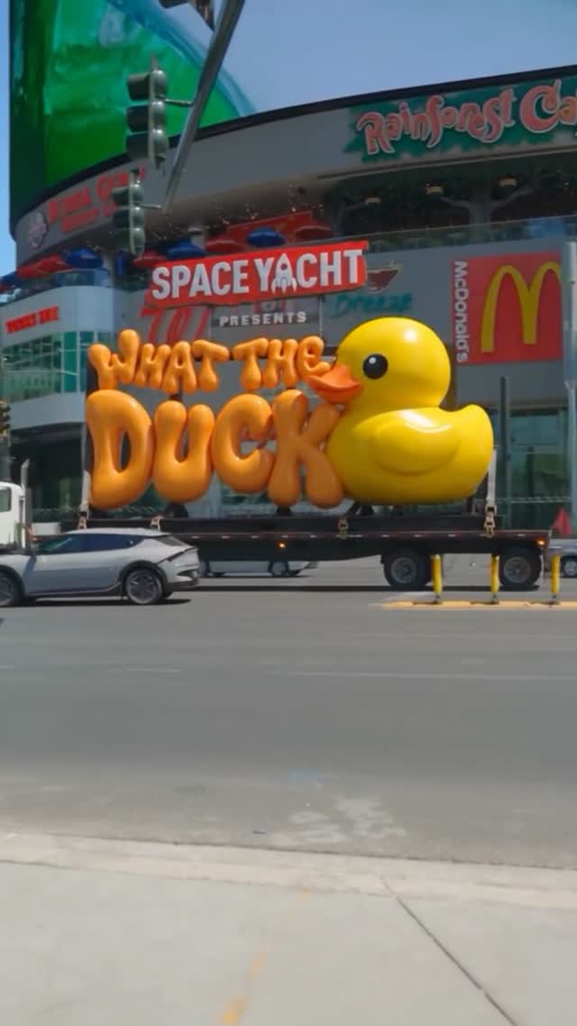 What The Duck