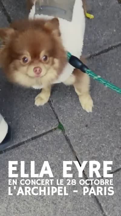 @ellaeyre en concert le 28 octobre à L'Archipel !