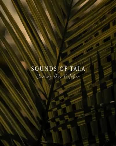 SOUNDS OF TALA Coming this October