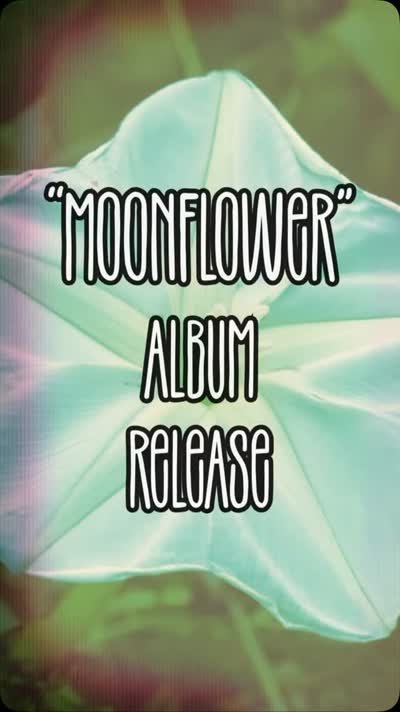 Moonflower LP release party
