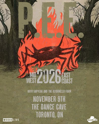 Just Announced! P.E.E are coming to The Dance Cave on November 9th with Gapyear & The Ritornello Form!