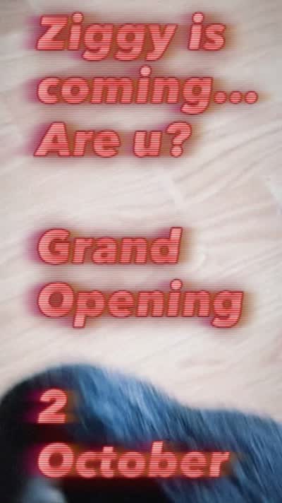 cool cats season 3 grand opening