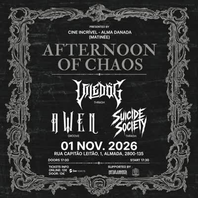 Afternoon of Chaos