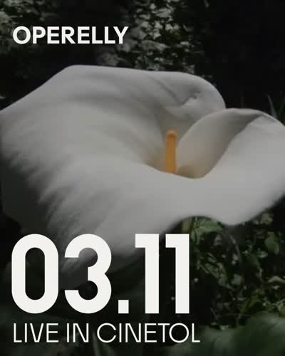 Operelly