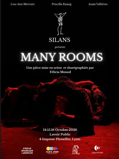 MANY ROOMS A LYON DANS 2 SEMAINES !