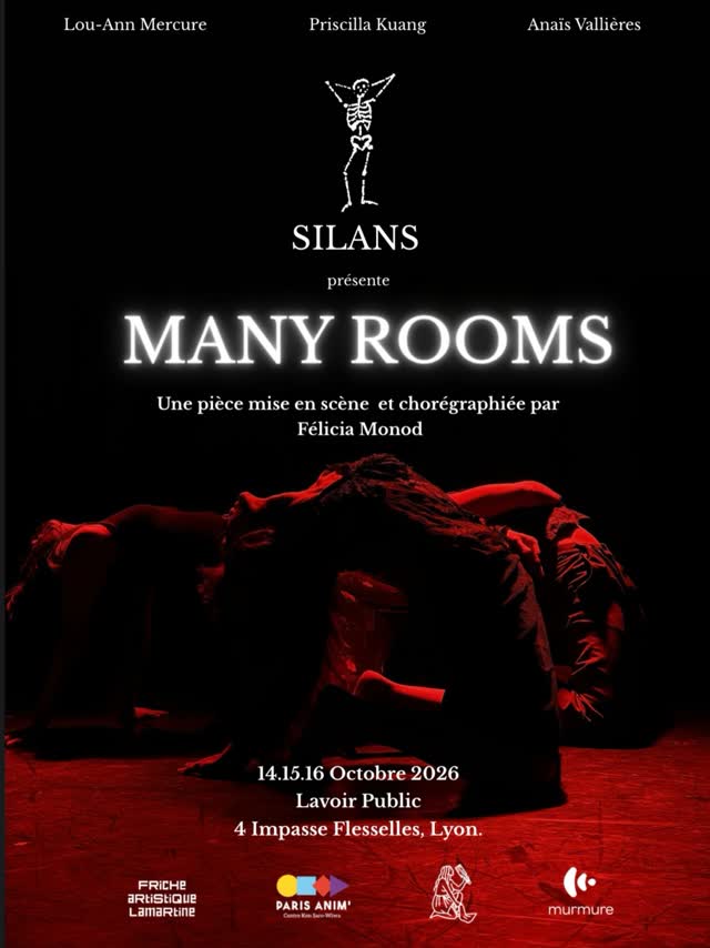 MANY ROOMS A LYON DANS 2 SEMAINES !