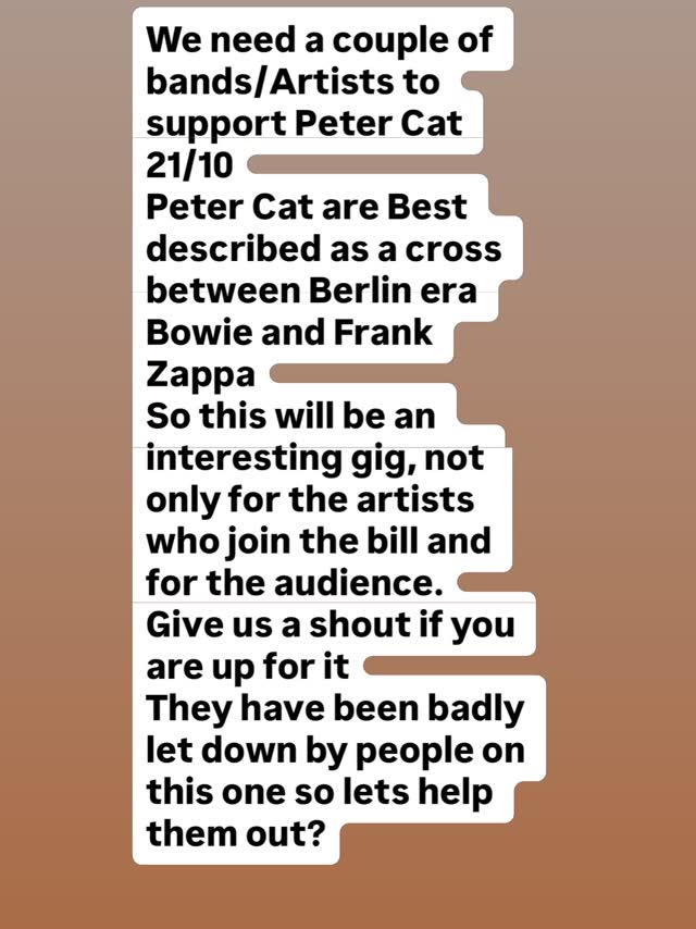 We need a couple of bands/Artists to support Peter Cat
