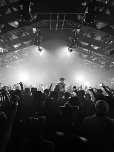 NOIR Shows
