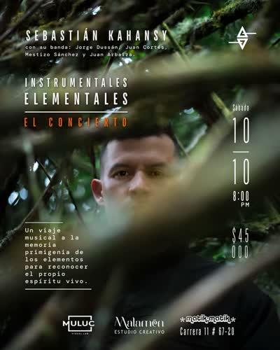 INSTRUMENTALES ELEMENTALES — EL CONCIERTO