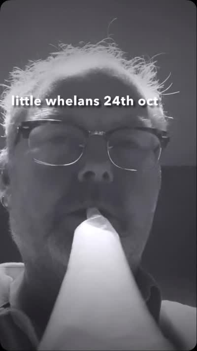 little whelans 24th oct