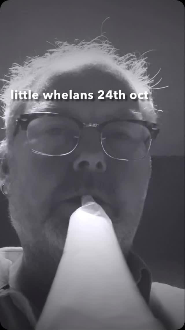 little whelans 24th oct