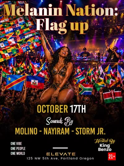 MELANIN NATION: FLAG UP