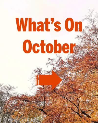 Spooky season at the Horniman 🎃 👻 Day of the Dead events