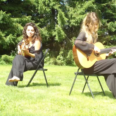 Klassieke & elektrische gitaren