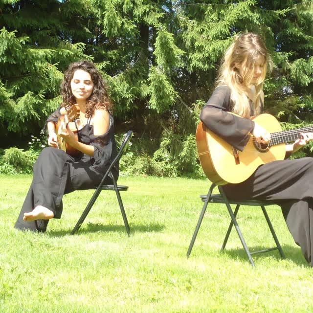 Klassieke & elektrische gitaren