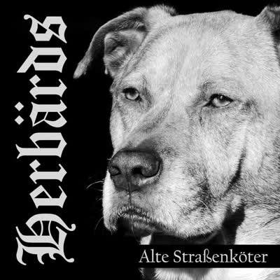 HERBÄRDS | Stuttgarts own Oi-Punk-Heroen