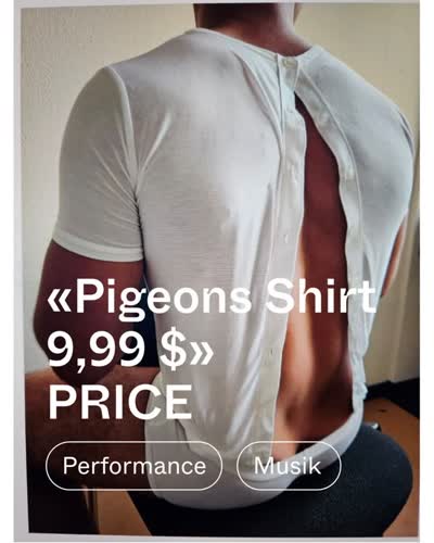 Pigeons Shirt / Performative Concert by PRICE