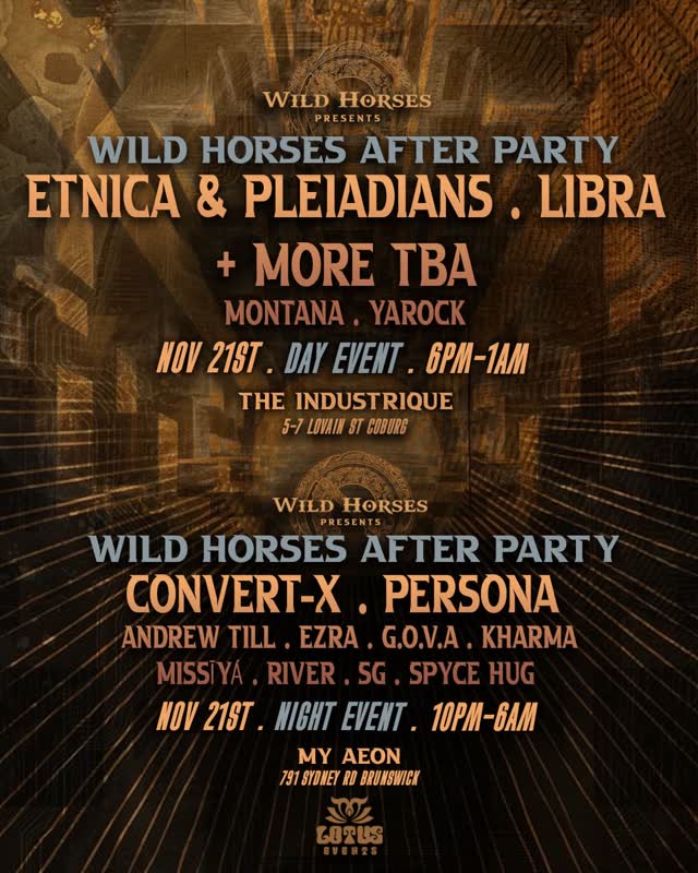 WILD HORSES AFTER PARTY