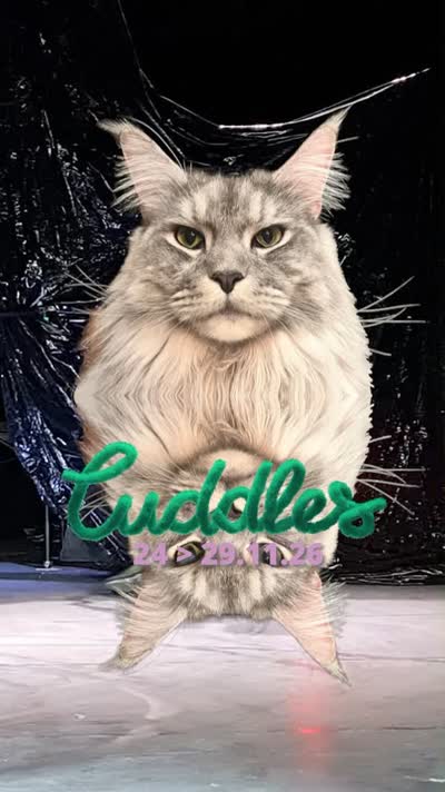 CUDDLES FESTIVAL