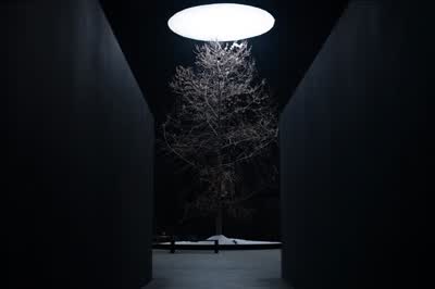 The Light We Leave Behind