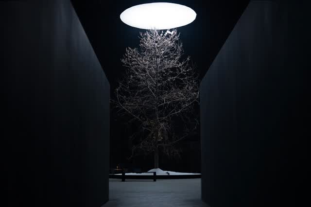 The Light We Leave Behind