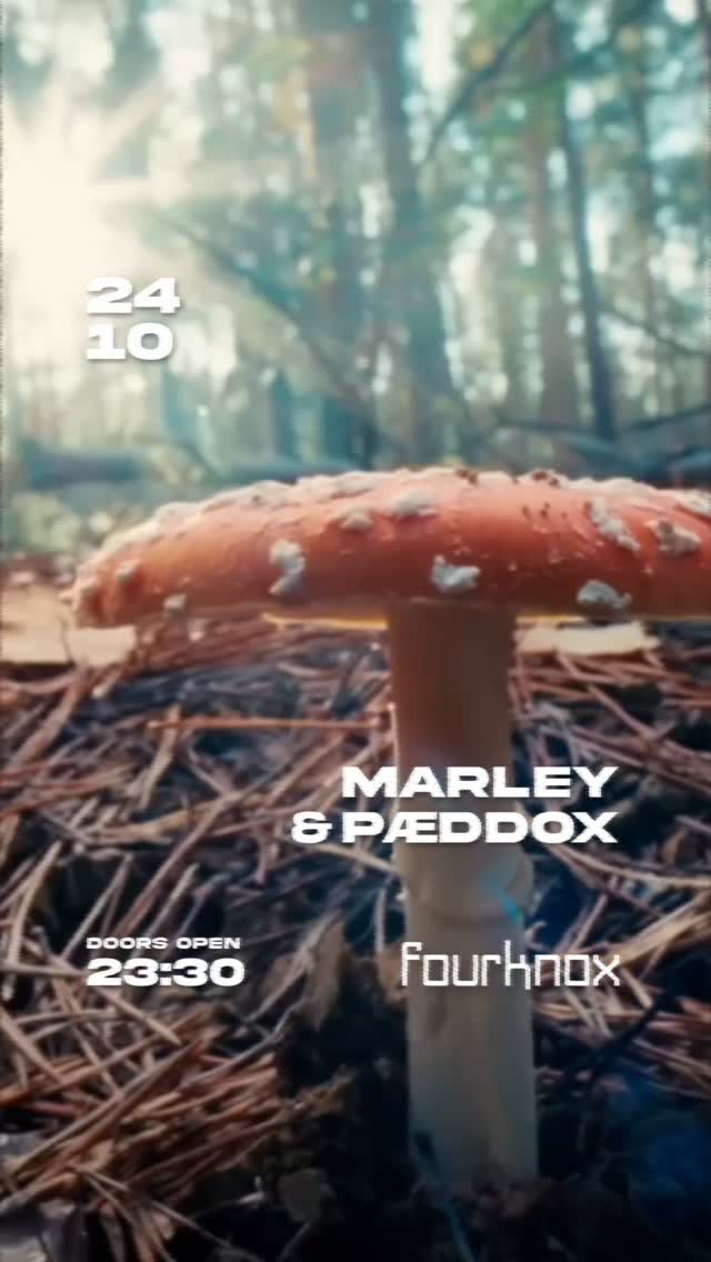 24.10.2026 23.30h sind wir zurück aus der Sommerpause.......🔥 @callhermarley @paeddox #elektronischemusik #friends #worms #placetobe #drinks