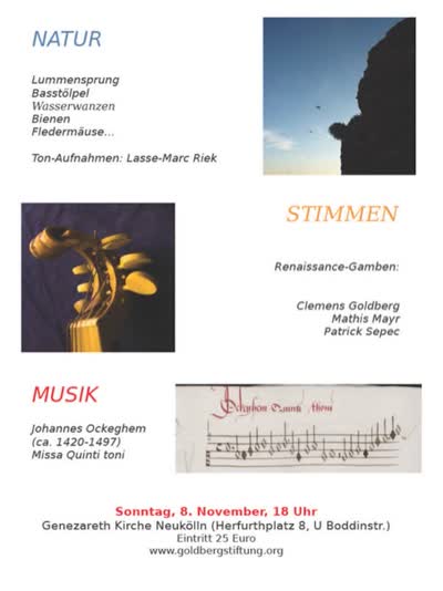 NATUR STIMMEN MUSIK