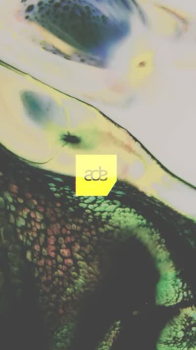ADE (Amsterdam Dance Event) Performance Call