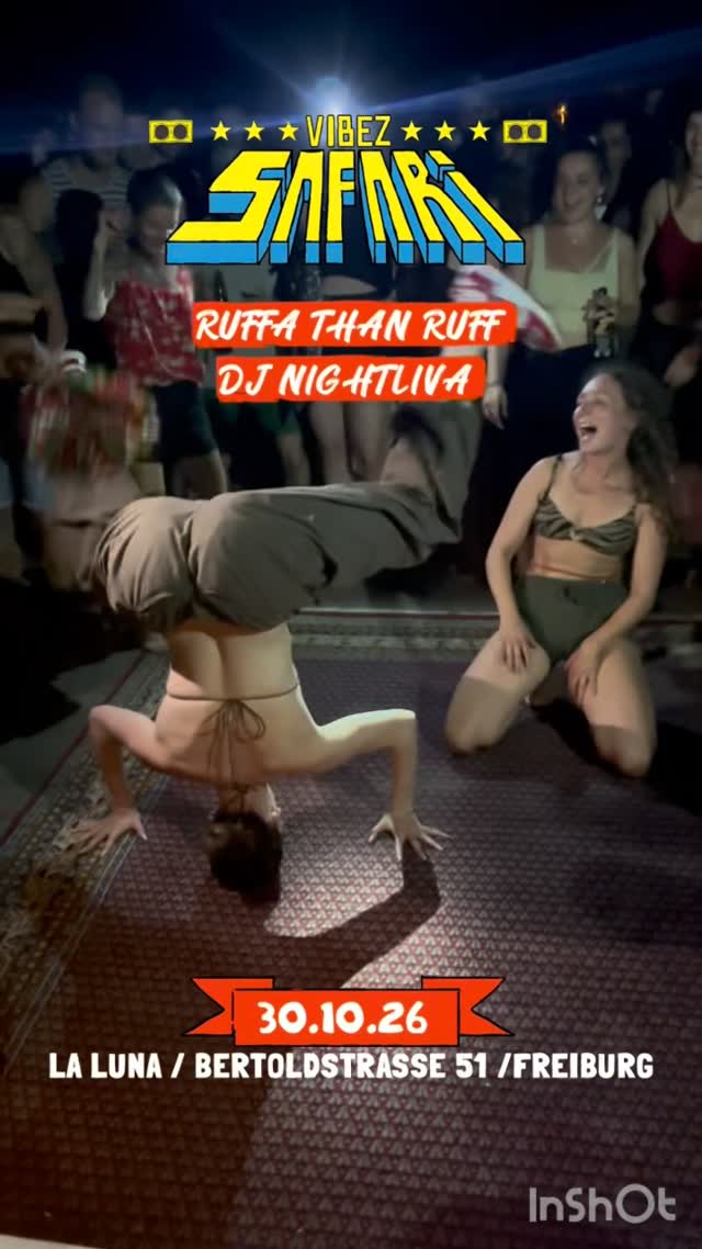 Vibez Safari