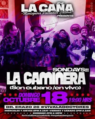 #SONDAY con @lacamineramusica en su casa #LACAÑA caigan desde las 2pm, estará muy suave su domingo 🐚 #VIVALADOCTORES