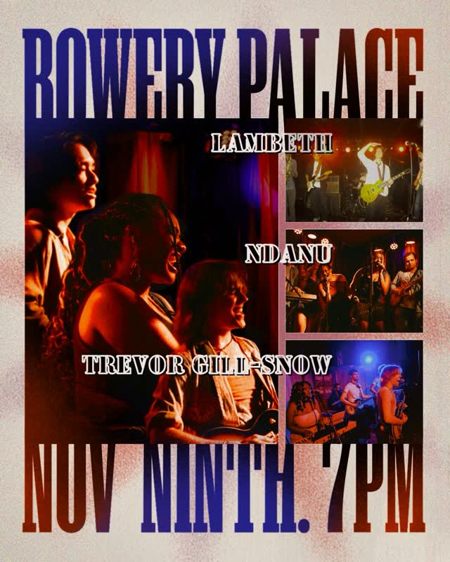 Rowery Palace