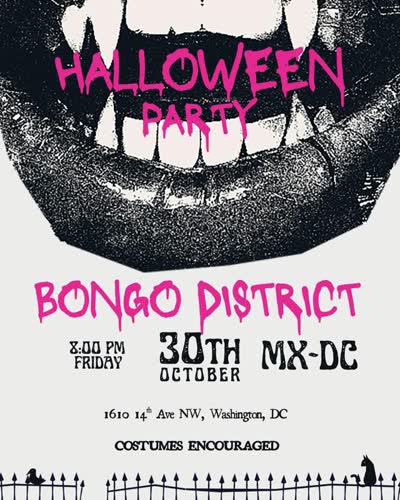 Halloween party with Bongo District